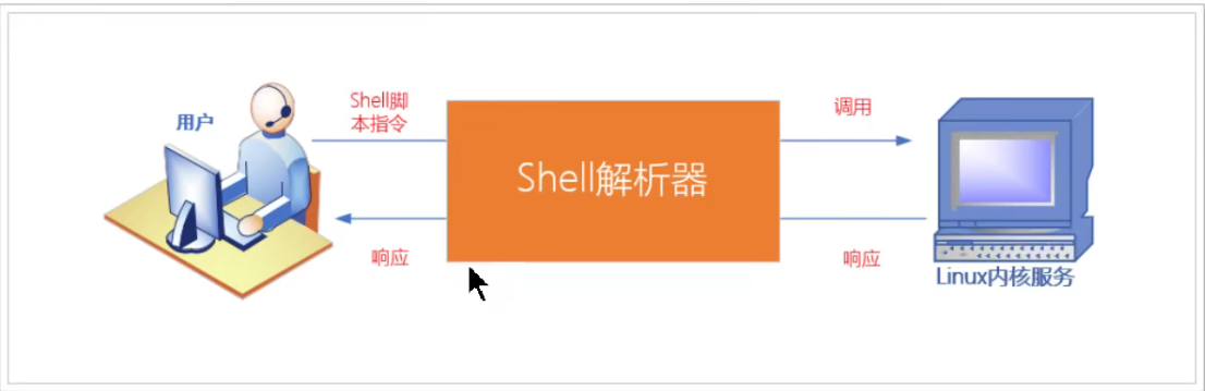 shell_info